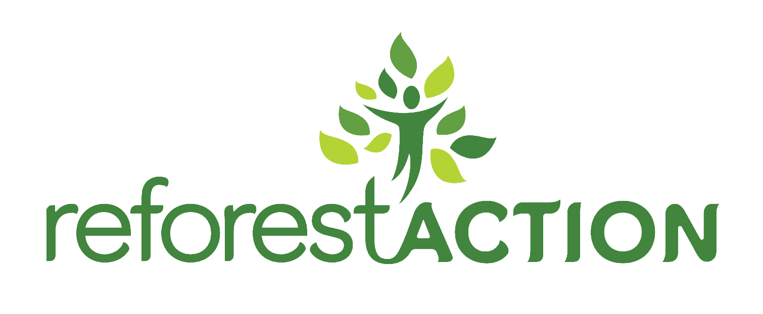 Reforestaction